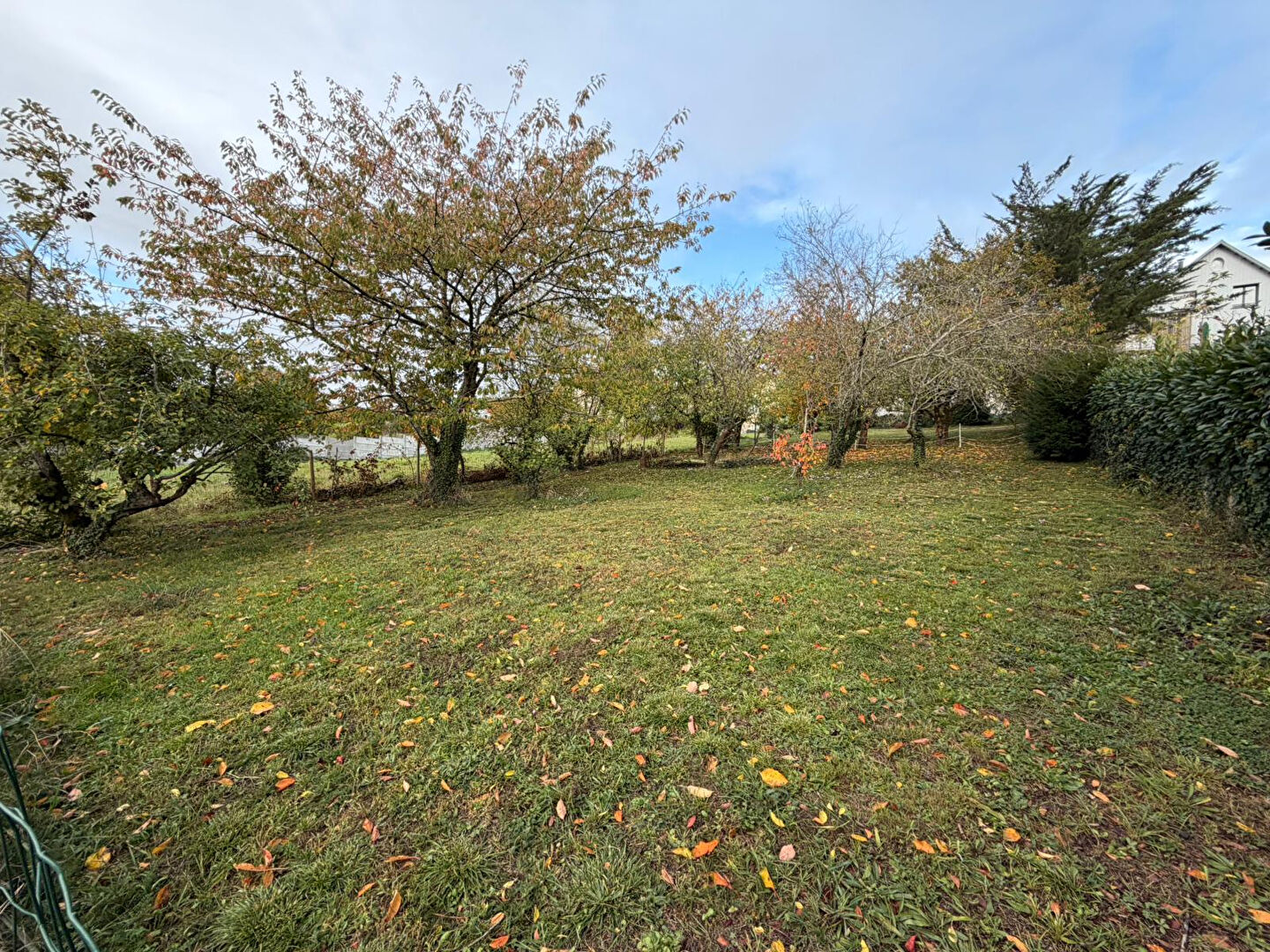 Terrain BRISSAC LOIRE AUBANCE (49320) 442.00 m²