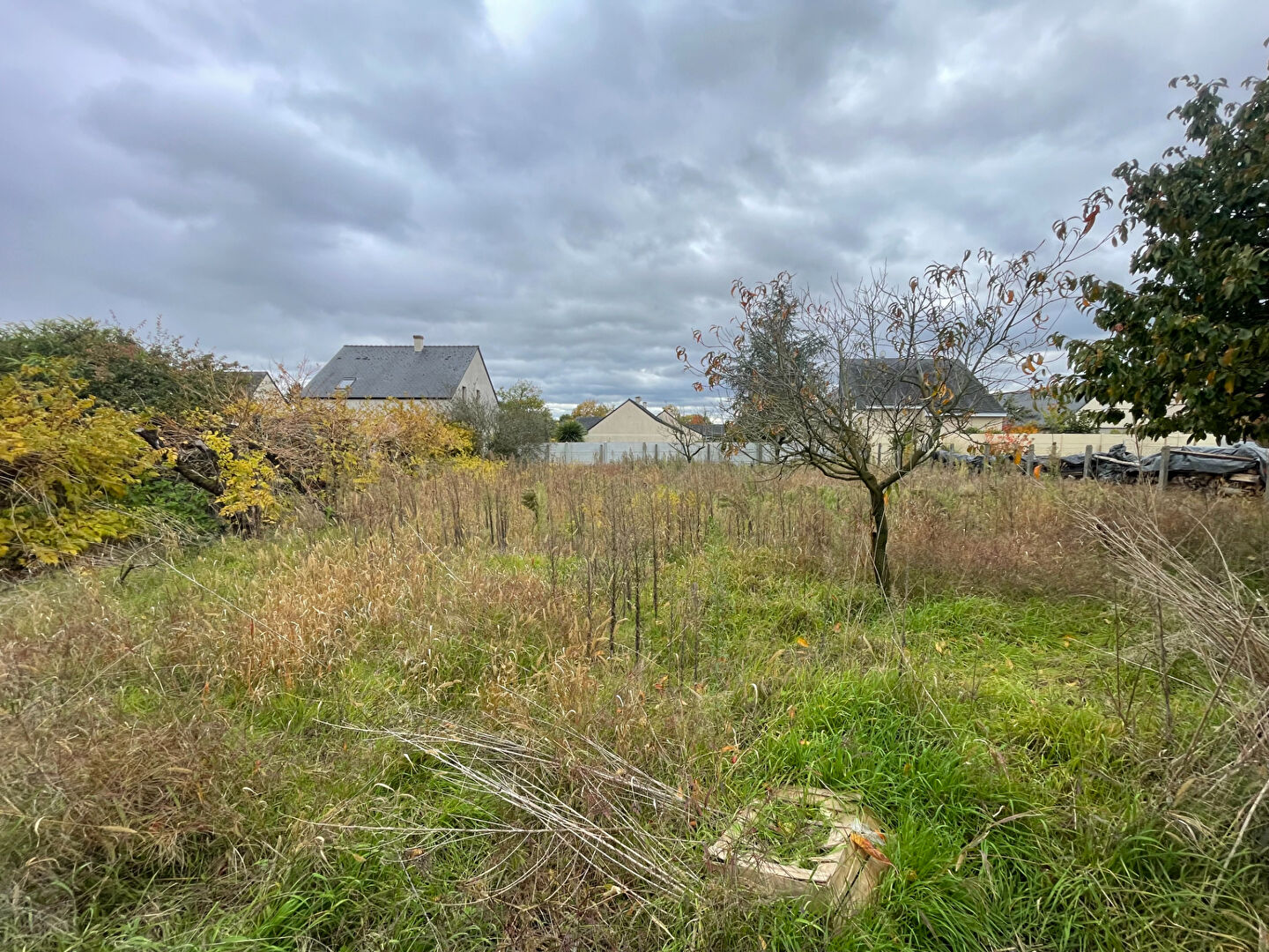 Terrain BEAUFORT EN ANJOU (49250) 486.00 m²