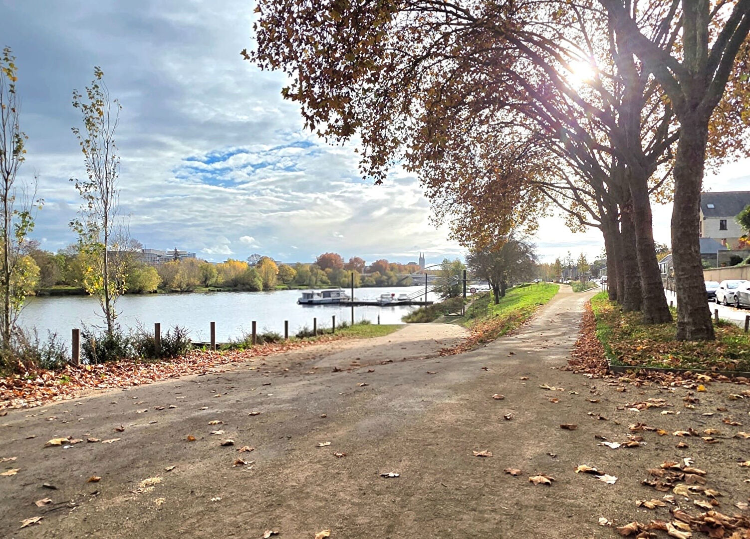 Terrain ANGERS (49100) 500.00 m&sup2;