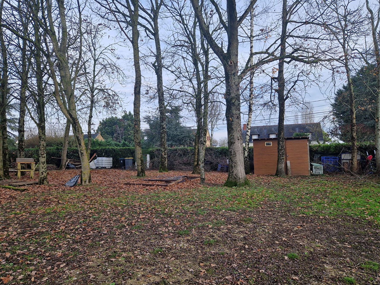 Terrain CORNE (49630) 311.00 m&sup2;