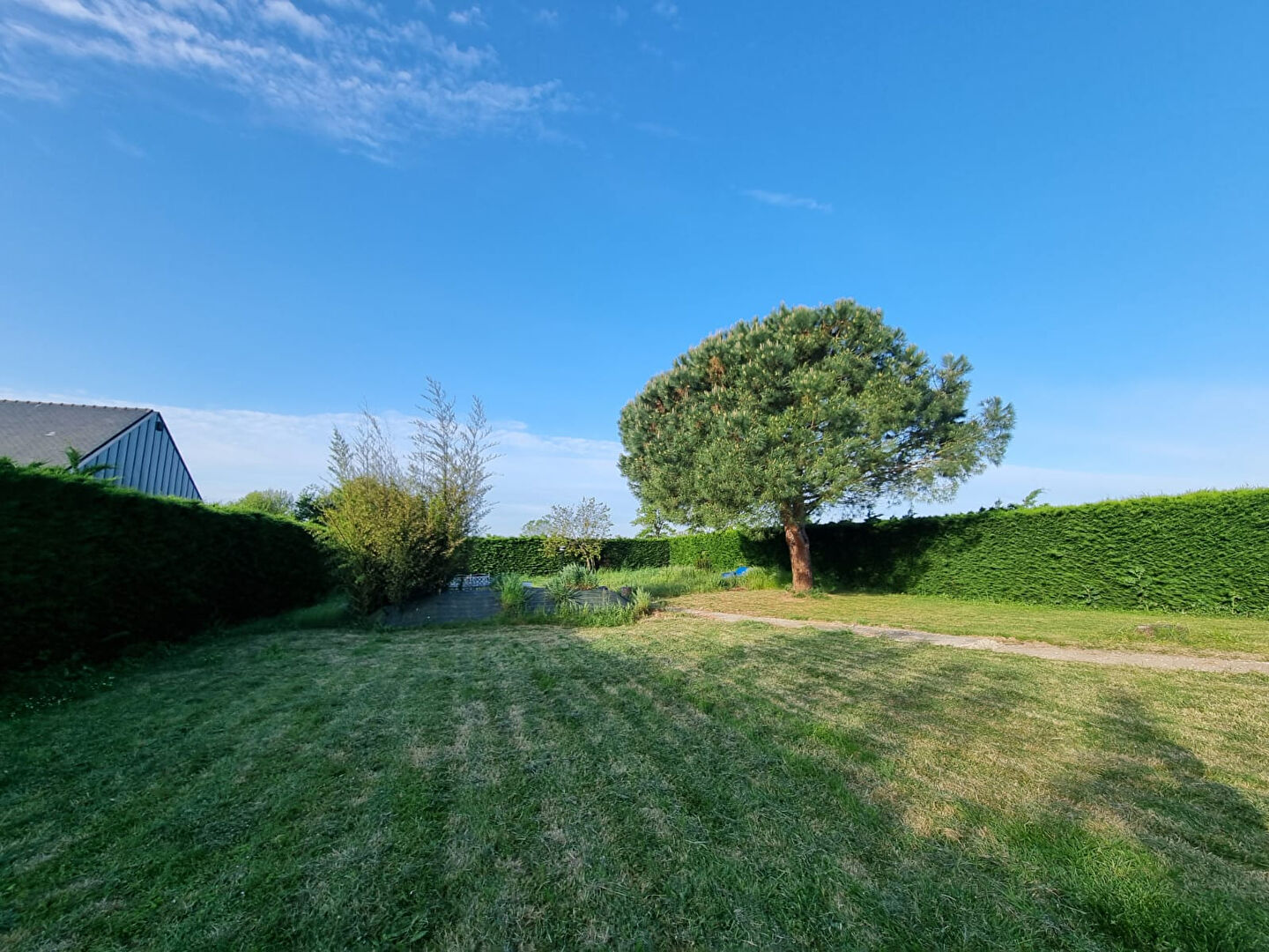Terrain CHAMPTOCE SUR LOIRE (49123) 480.00 m&sup2;