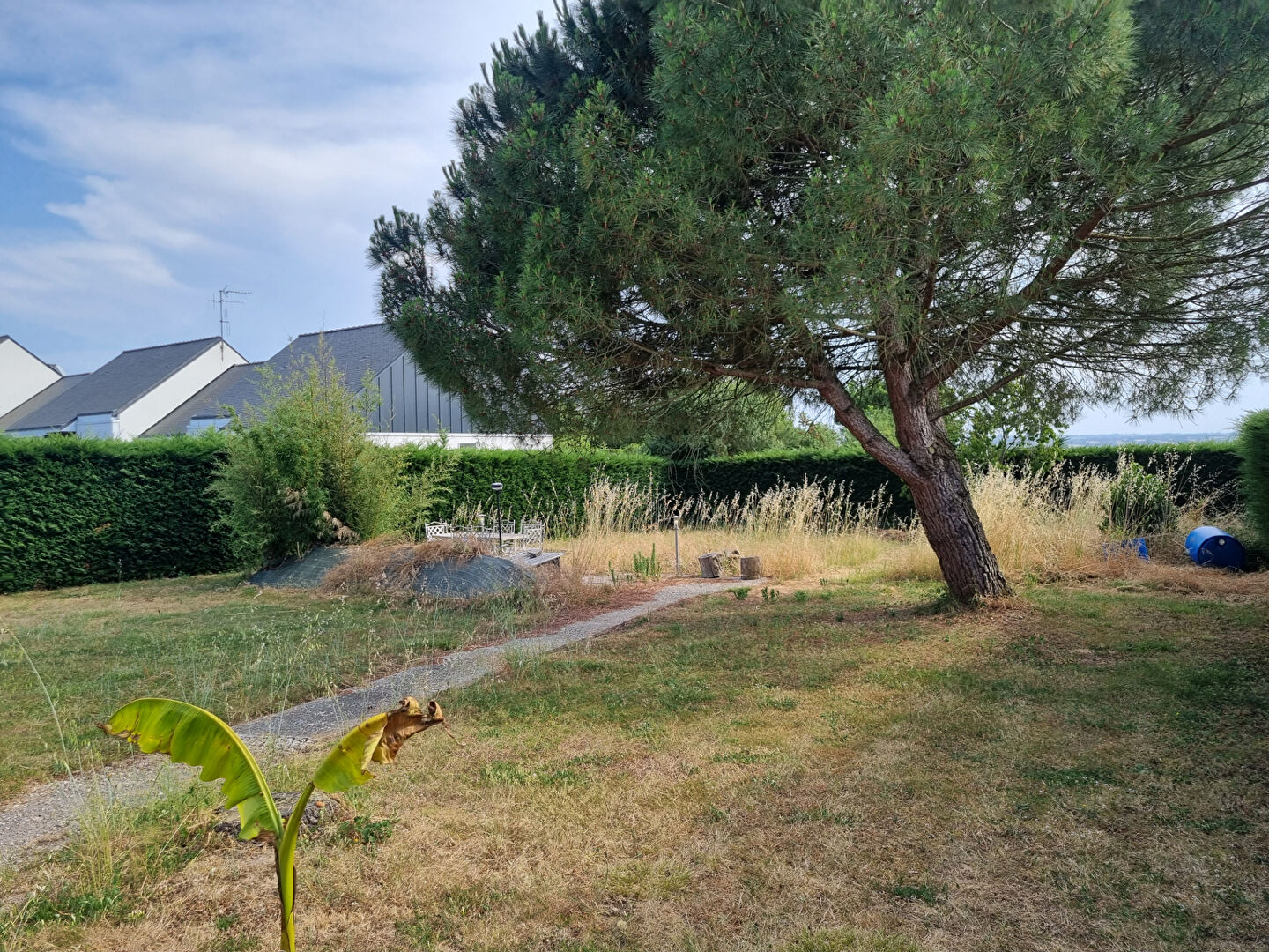 Terrain CHAMPTOCE SUR LOIRE (49123) 480.00 m&sup2;