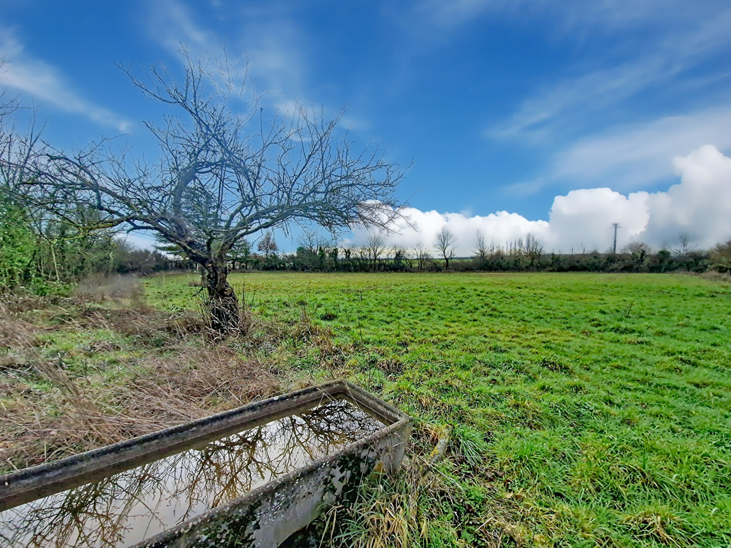 Terrain LYS HAUT LAYON (49560) 4790.00 m&sup2;