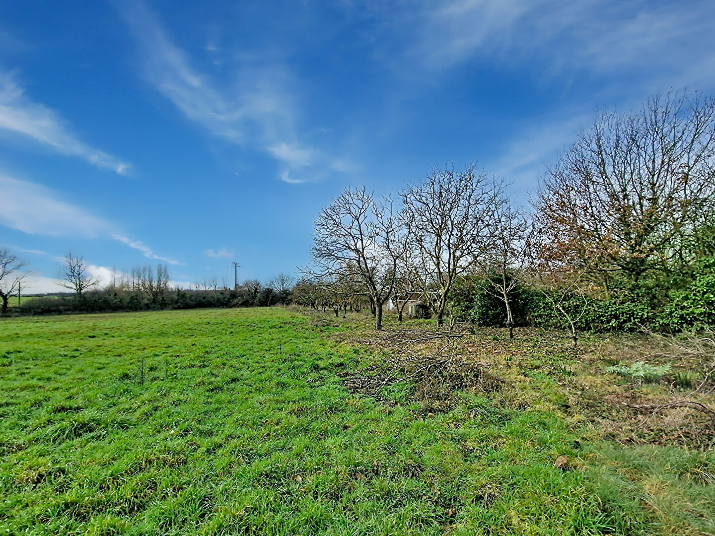 Terrain LYS HAUT LAYON (49560) 4790.00 m&sup2;