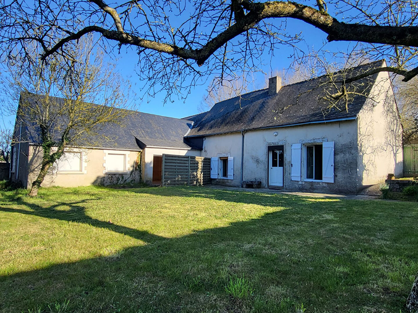 Maison CHALONNES SUR LOIRE (49290) 150.00 m&sup2;