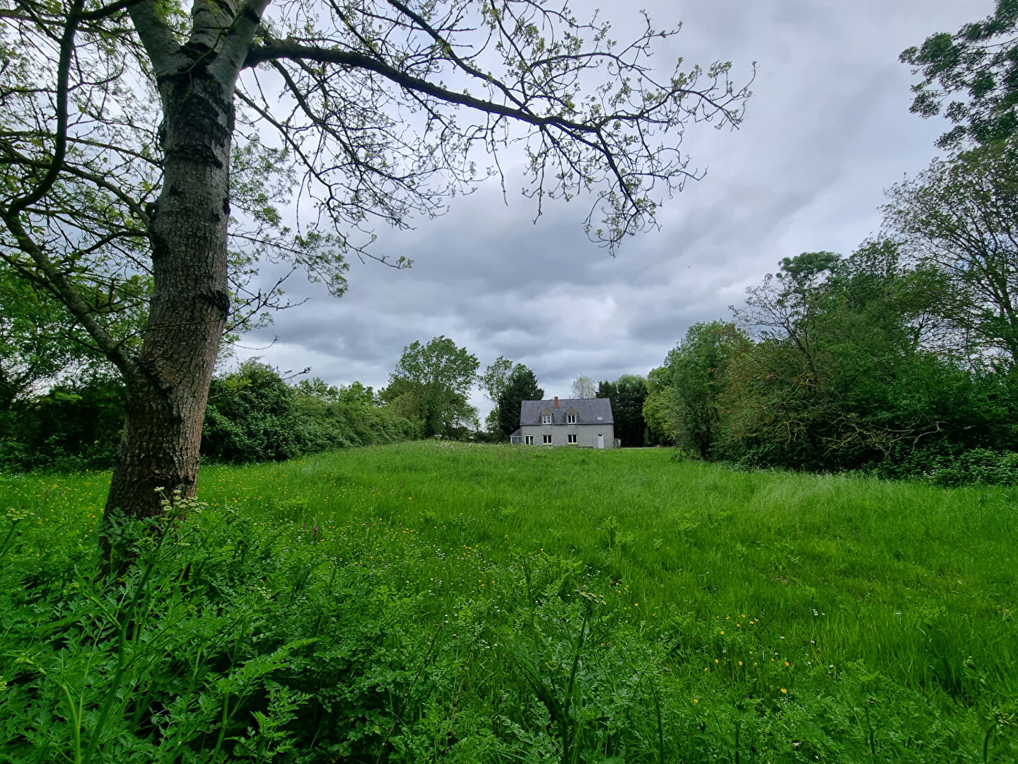 Maison SAINT GERMAIN DES PRES (49170) 7 pi&egrave;ces 144.00 m&sup2;