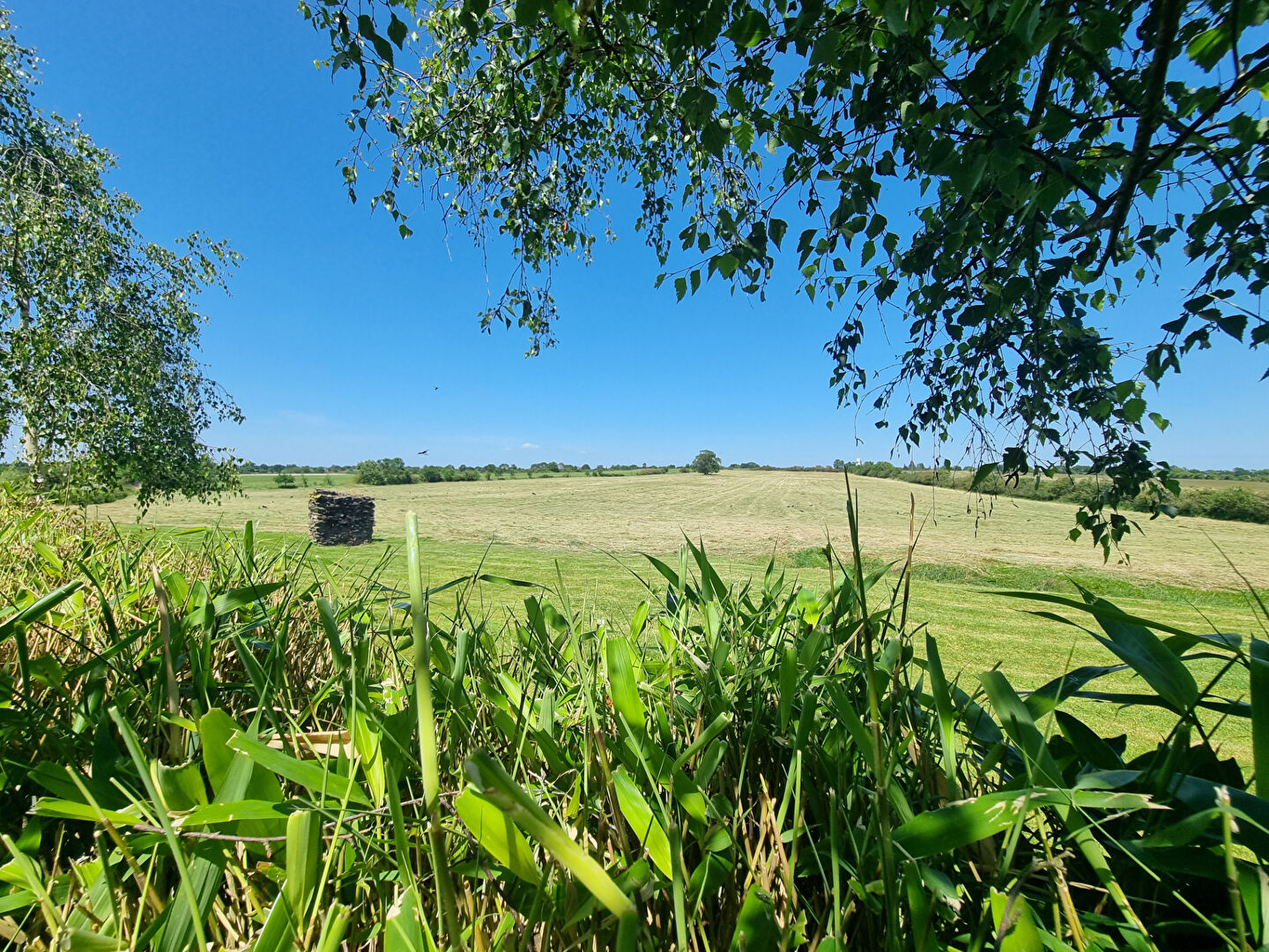 Maison SAINT GEORGES SUR LOIRE (49170) 6 pi&egrave;ces 145.00 m&sup2;