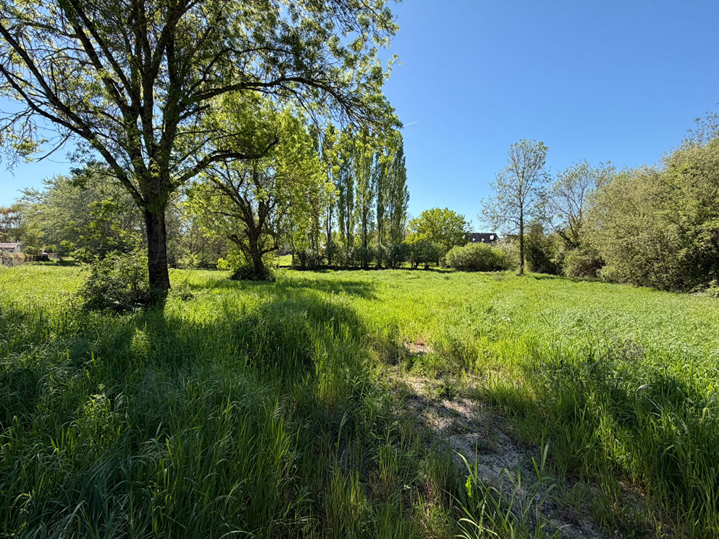 Terrain LES GARENNES SUR LOIRE (49610) 7630.00 m&sup2;