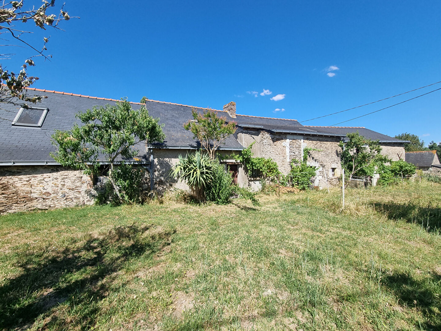 Maison SAINT GEORGES SUR LOIRE (49170) 1 pi&egrave;ce 100.00 m&sup2;