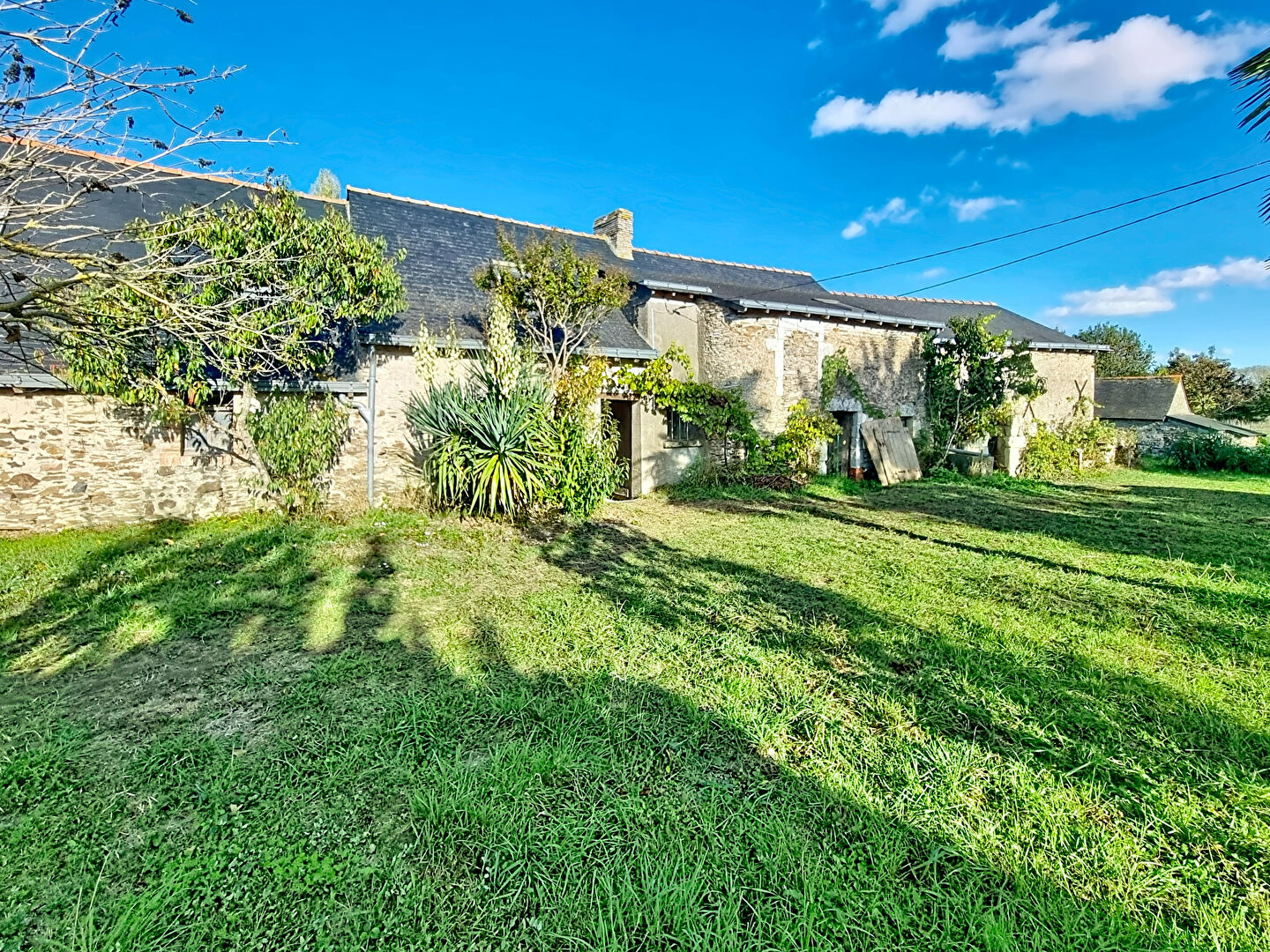 Maison SAINT GEORGES SUR LOIRE (49170) 1 pi&egrave;ce 100.00 m&sup2;