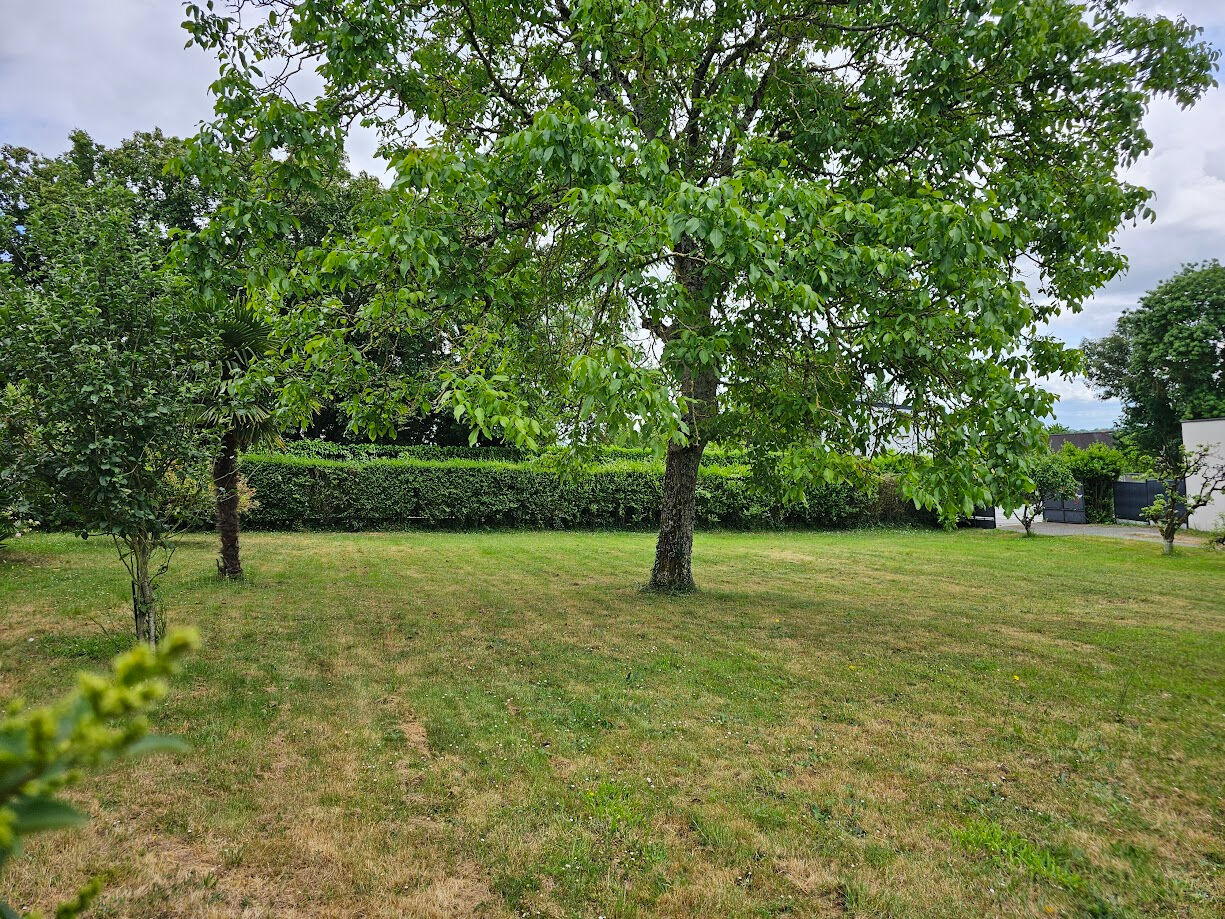 Terrain BRIOLLAY (49125) 569.00 m&sup2;