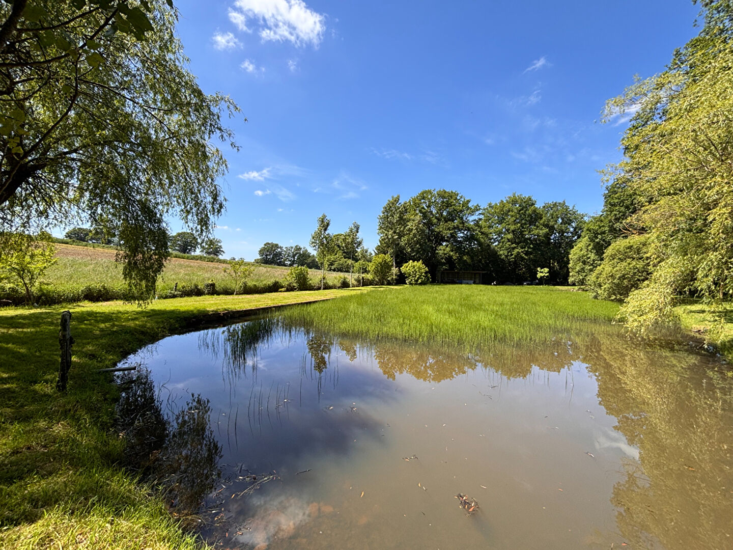 Terrain de loisirs ANDOUILLE (53240)