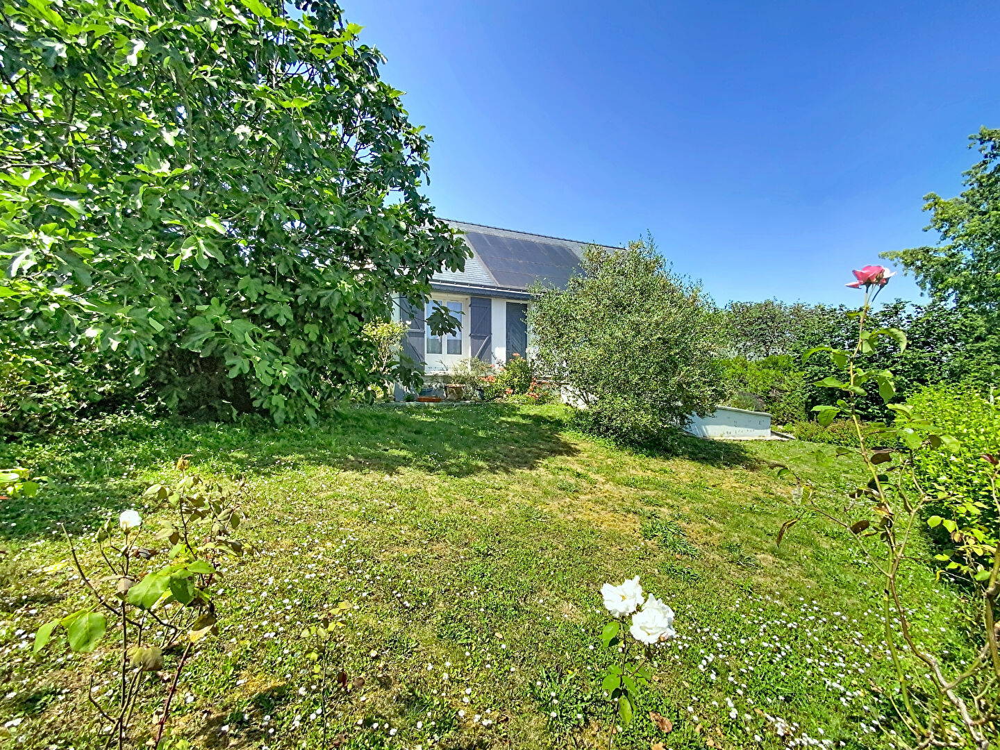 Maison MONTREUIL JUIGNE (49460) 7 pi&egrave;ces 128.00 m&sup2;