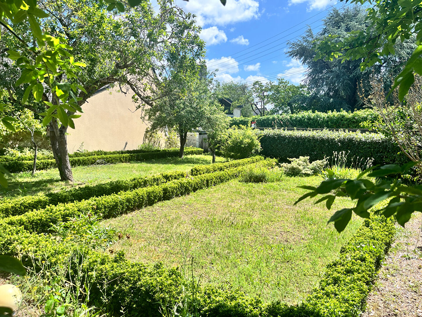 Terrain TIERCE (49125) 338.00 m&sup2;