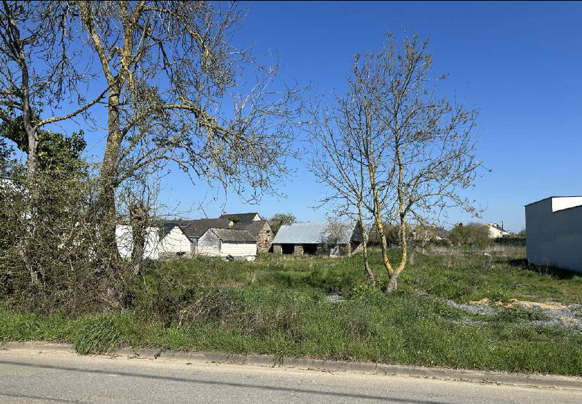 Terrain MONTREUIL JUIGNE (49460) 965.00 m&sup2;