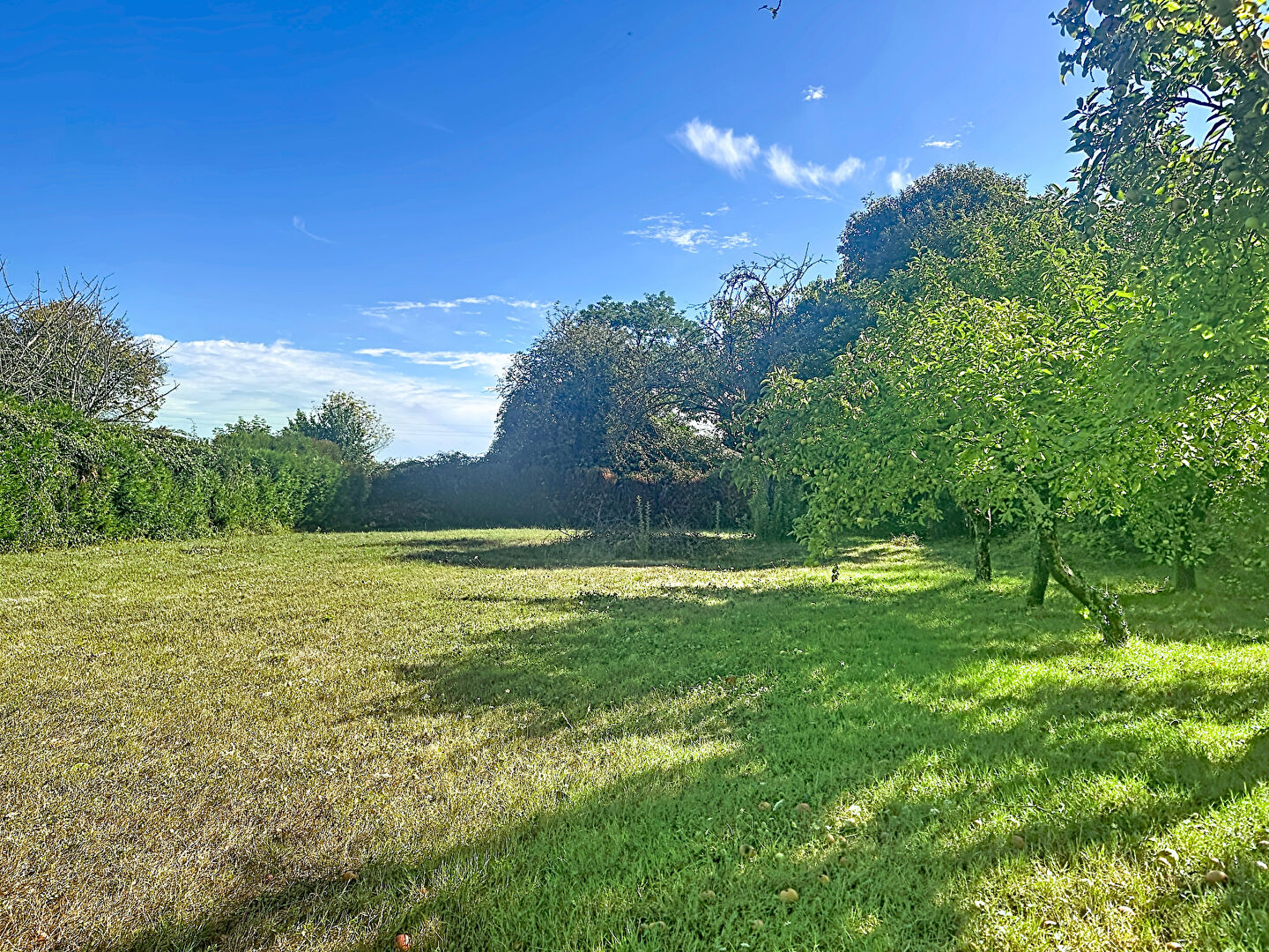 Terrain BRISSAC LOIRE AUBANCE (49320) 1176.00 m&sup2;