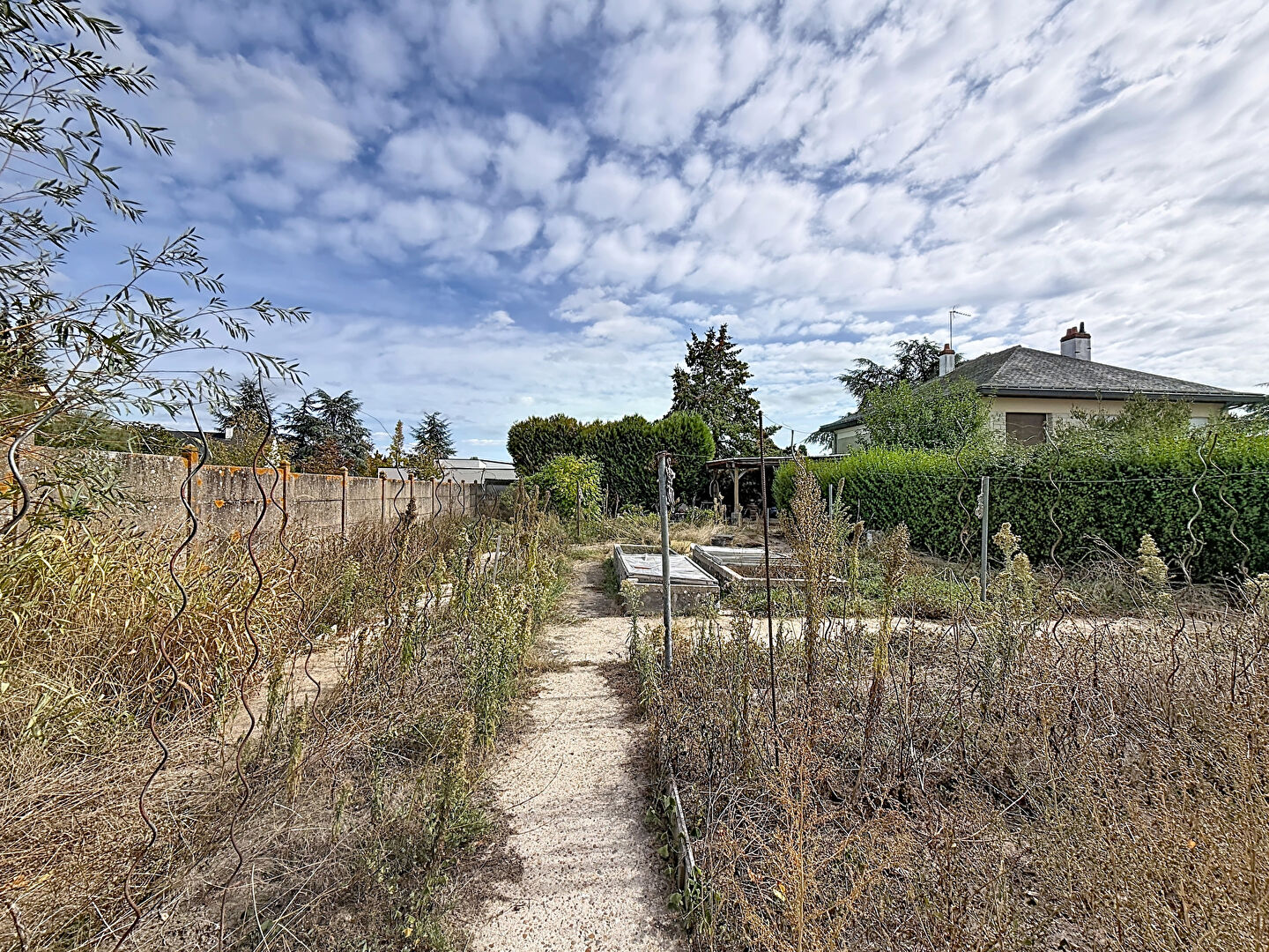 Terrain VERRIERES EN ANJOU (49480) 880.00 m&sup2;