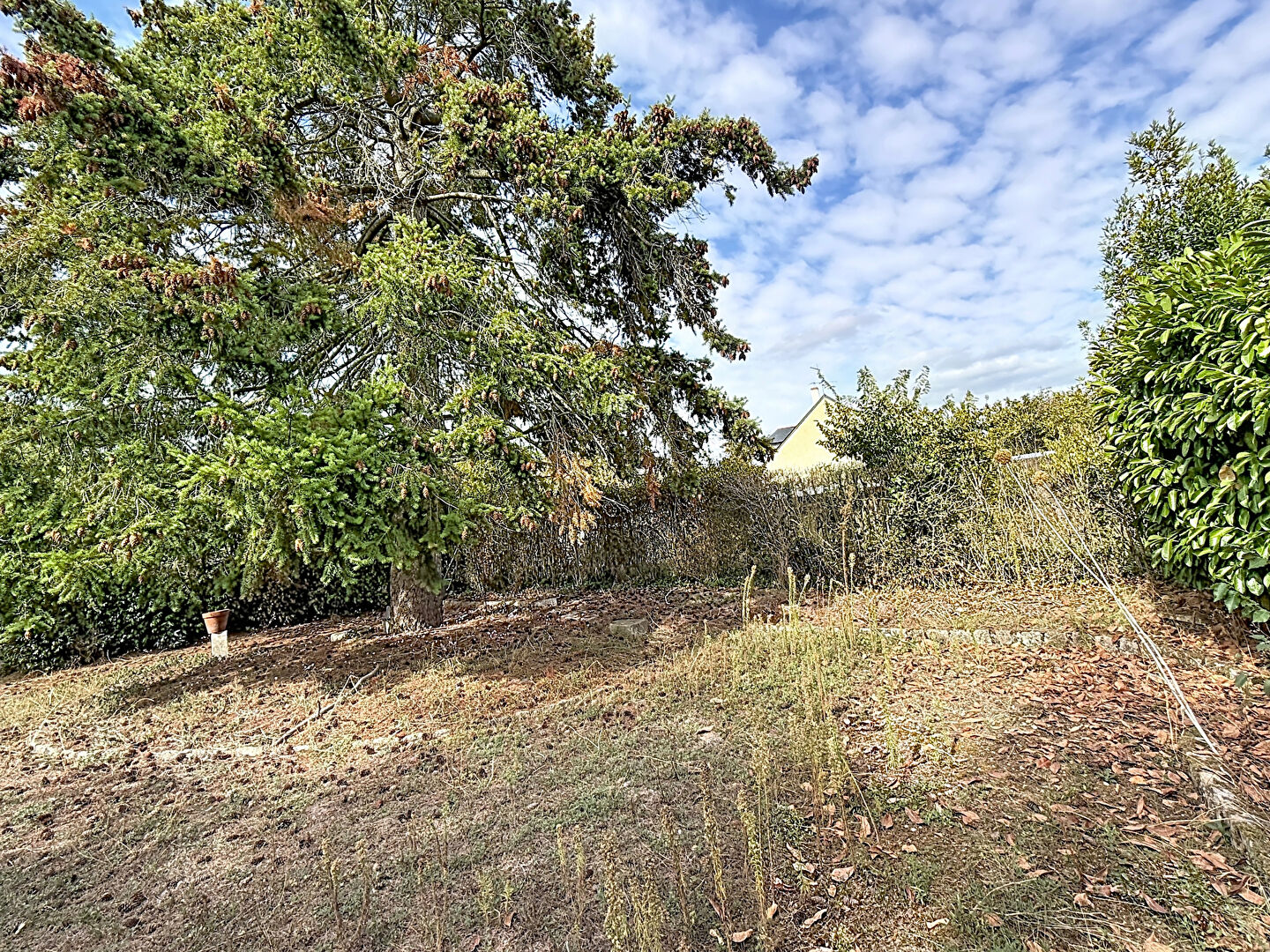 Terrain VERRIERES EN ANJOU (49480) 880.00 m&sup2;