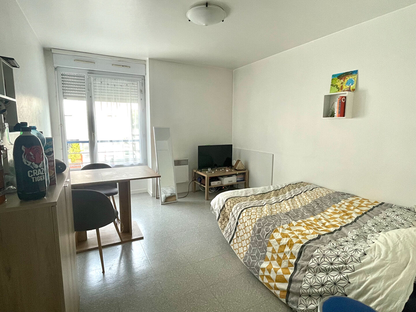 Appartement ANGERS (49000) 1 pièce 20.54 m²