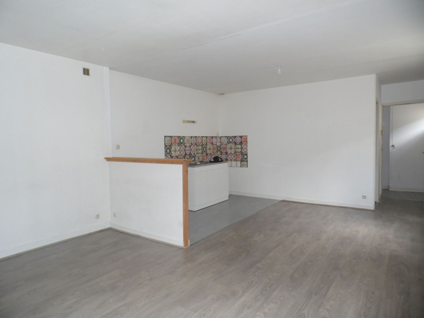 Appartement DOUE LA FONTAINE (49700) 2 pièces 46.00 m²