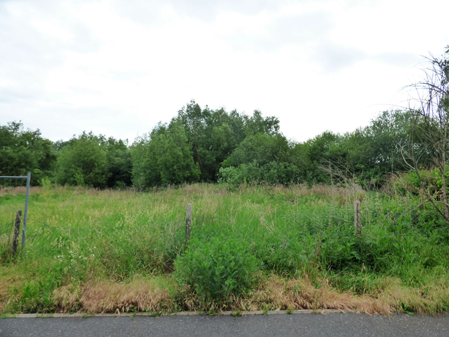 Terrain CHARS (95750) 1708.00 m&sup2;