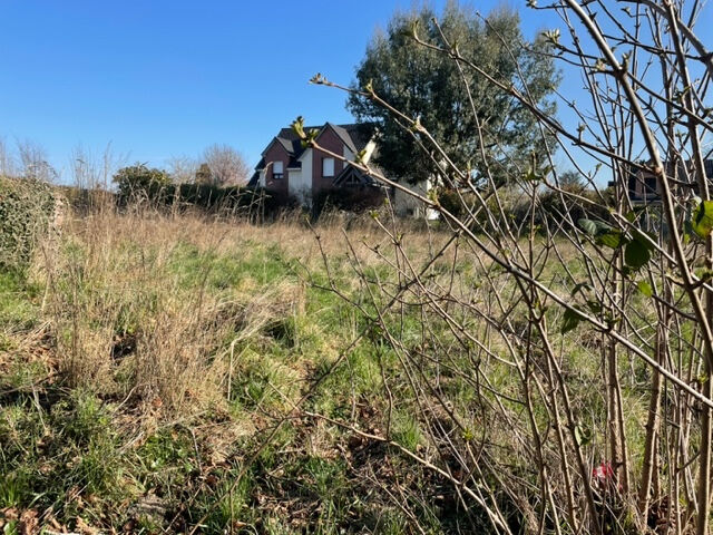 Terrain YMARE (76520) 2308.00 m²