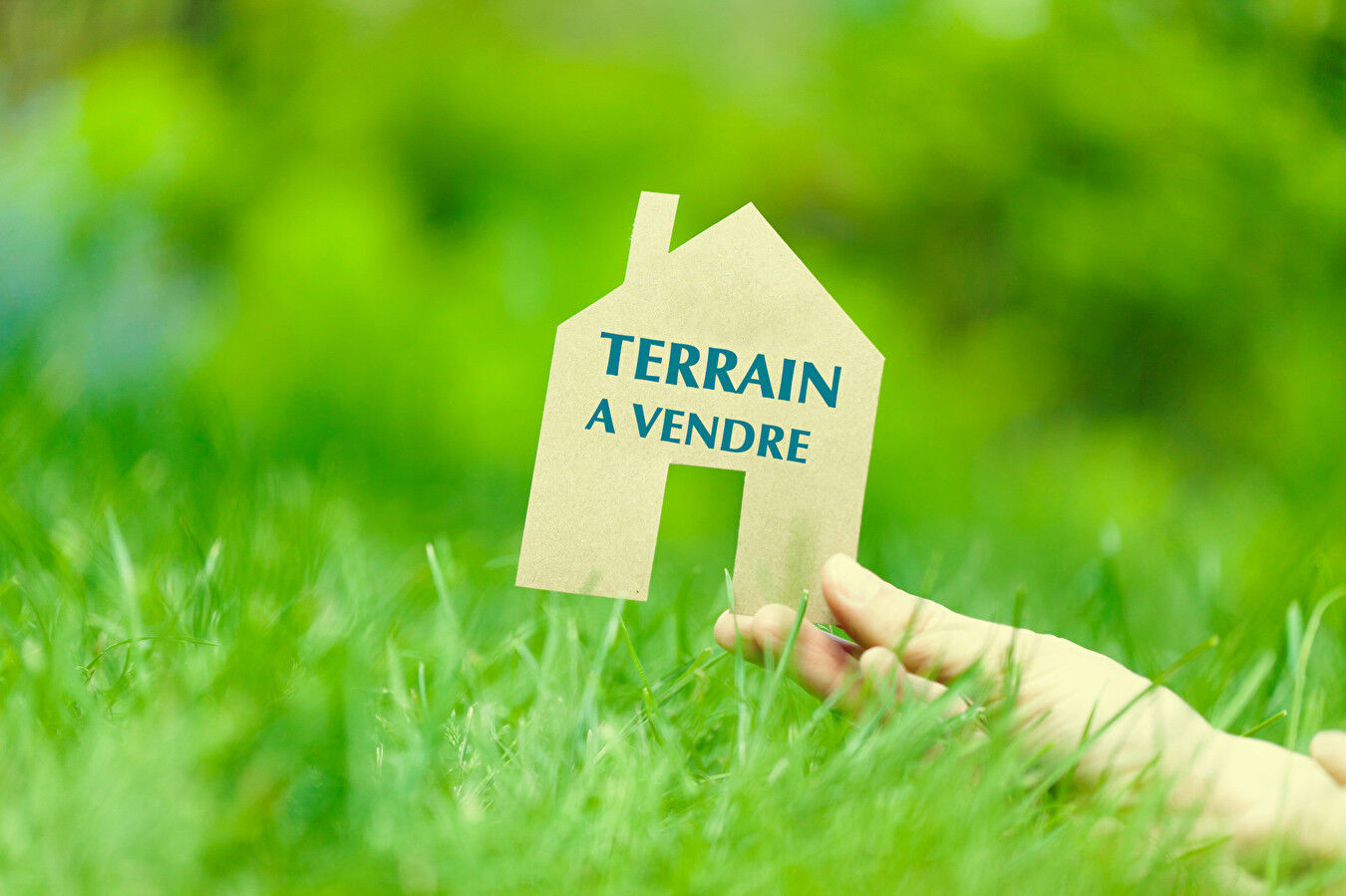 Terrain BLACOURT (60650) 1000.00 m²