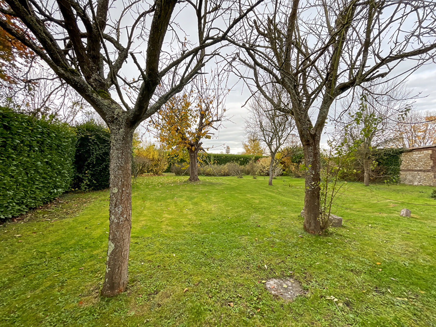 Terrain LE MESNIL ESNARD (76240) 900.00 m²