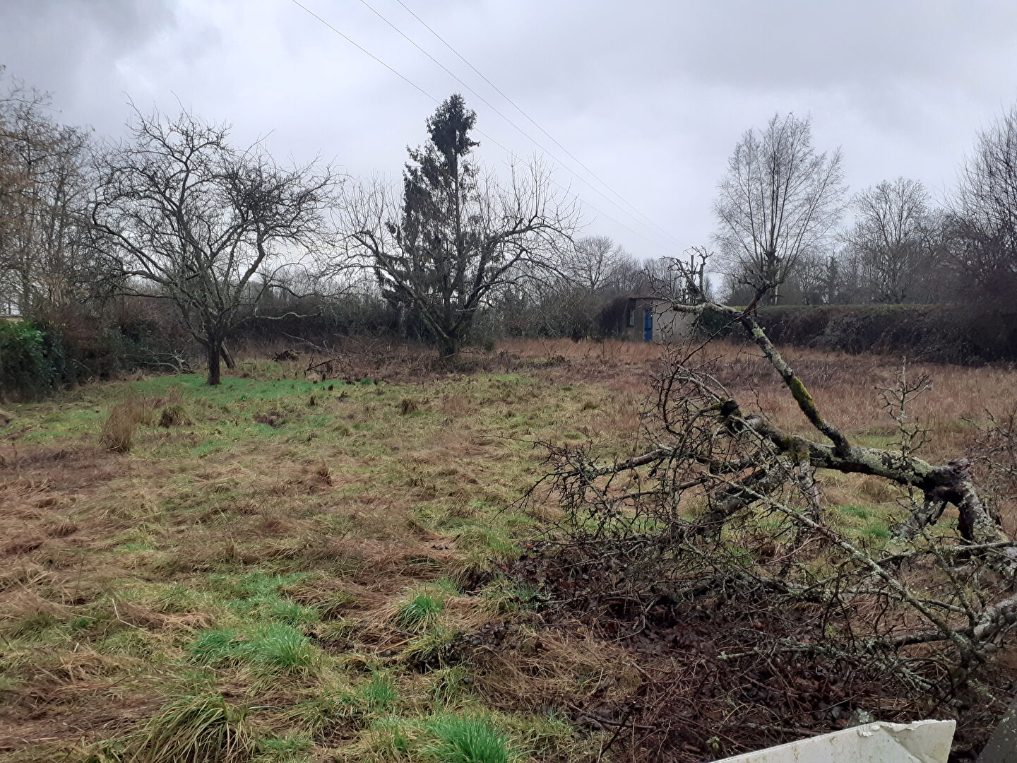 Terrain GOURNAY EN BRAY (76220) 1323.00 m&sup2;