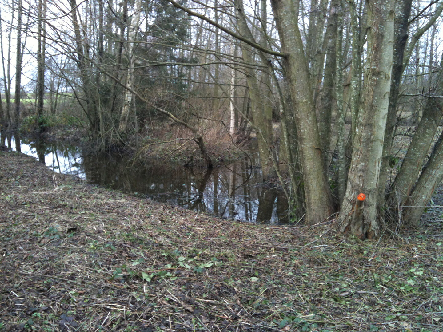 Terrain de loisirs GOURNAY EN BRAY (76220)