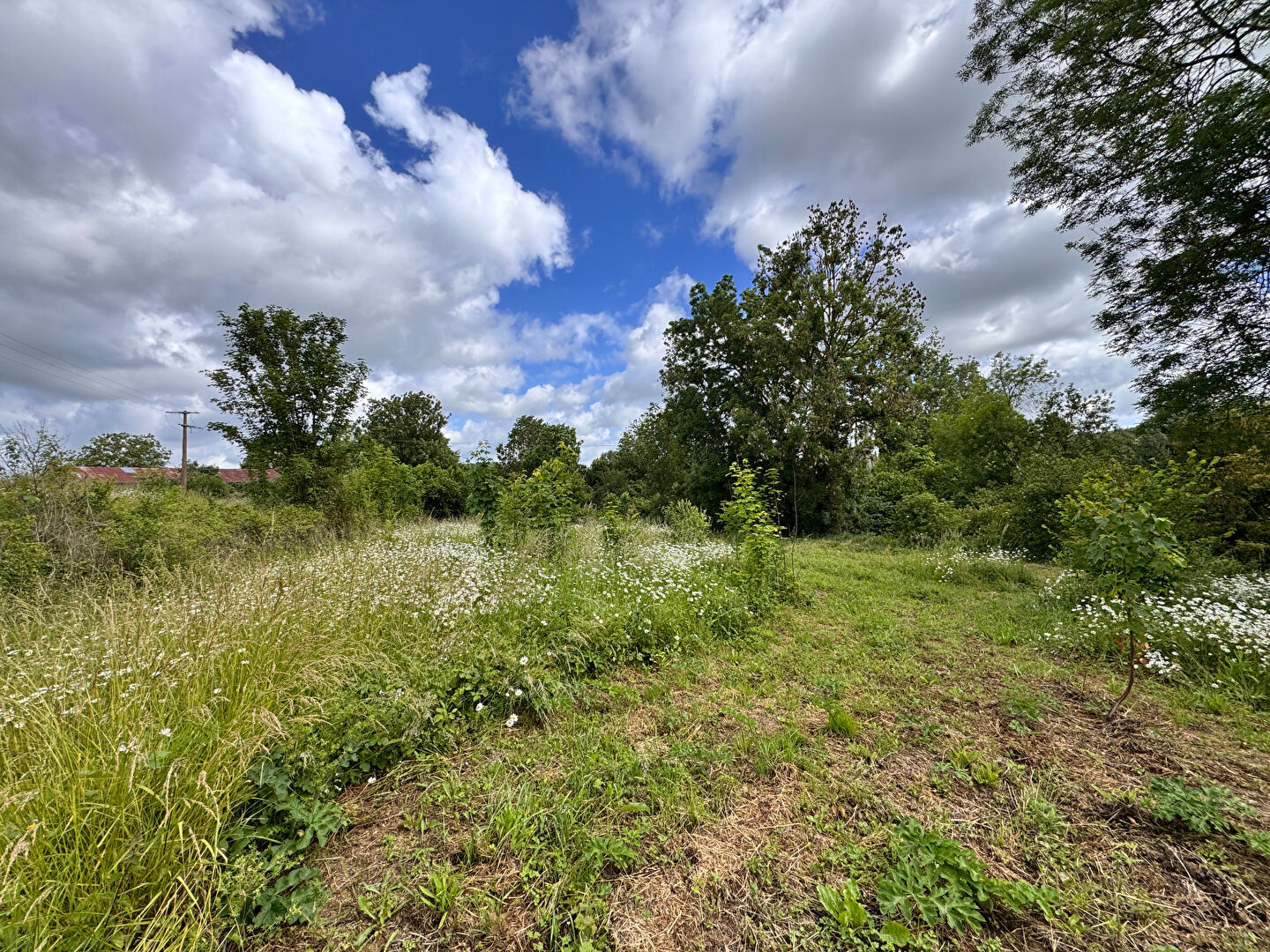 Terrain CHAUSSOY EPAGNY (80250) 2782.00 m&sup2;