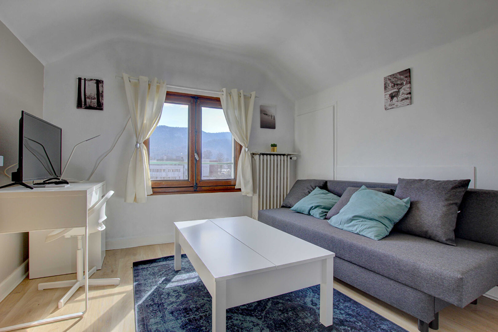 Appartement SEYNOD (74600) 1 pièce 24.07 m²