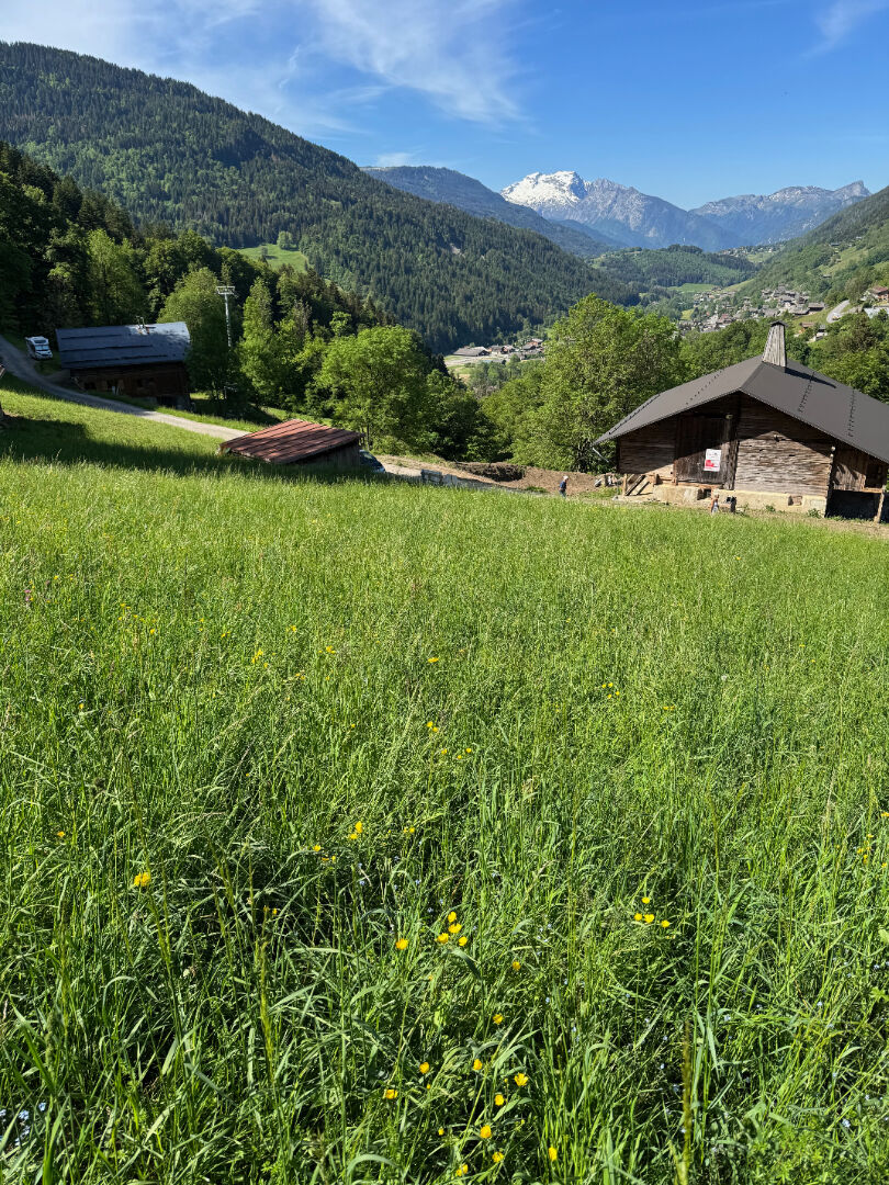 Terrain LE GRAND BORNAND (74450) 4000.00 m&sup2;