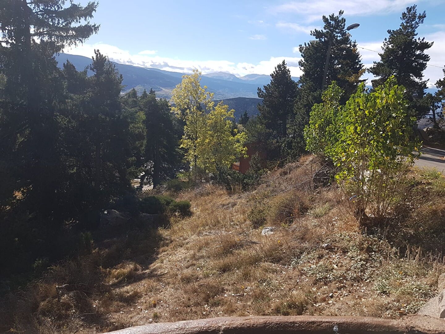 Terrain FONT ROMEU ODEILLO VIA (66120) 1569.00 m&sup2;