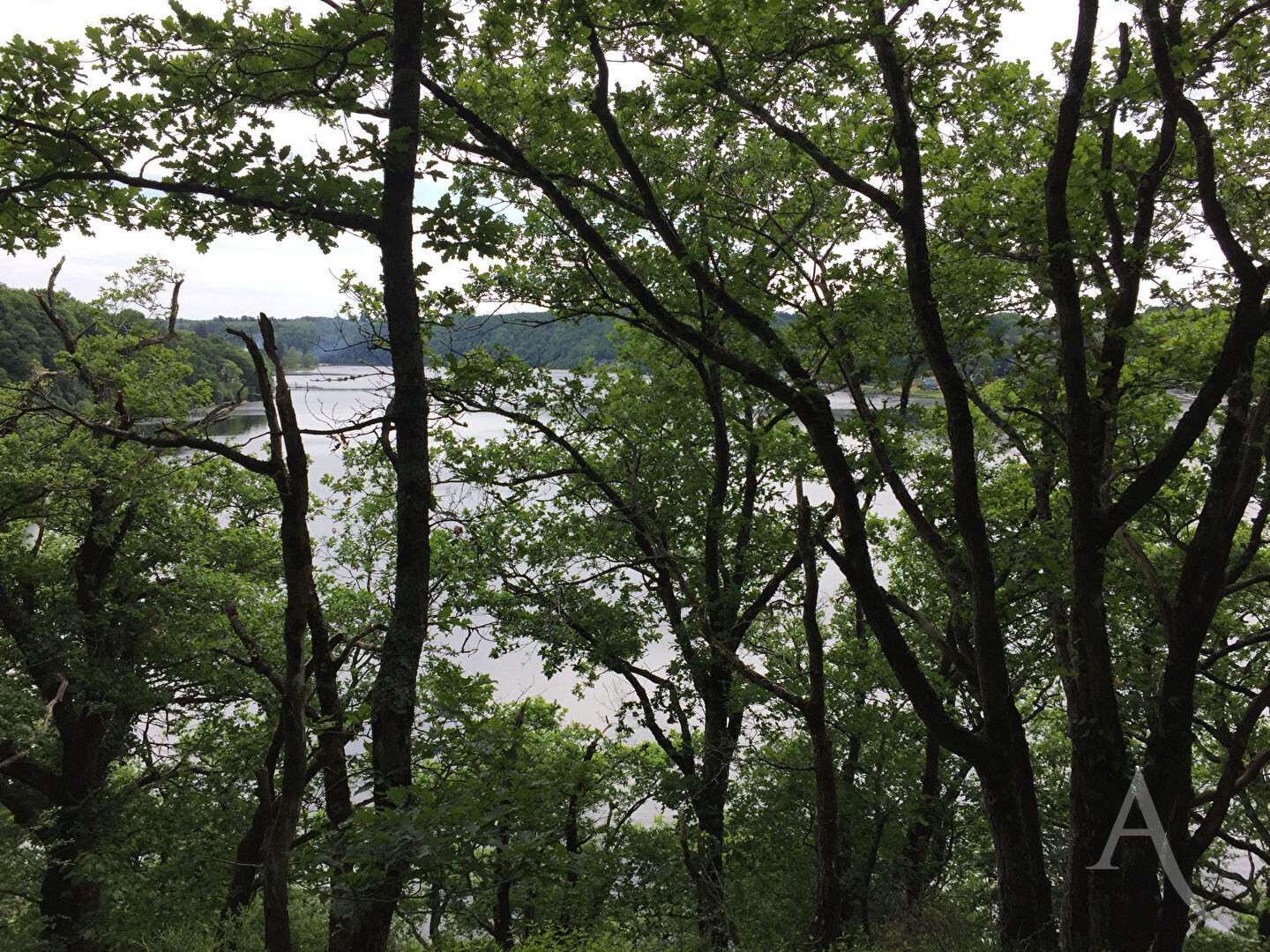 Terrain CUZION (36190) 2155.00 m&sup2;