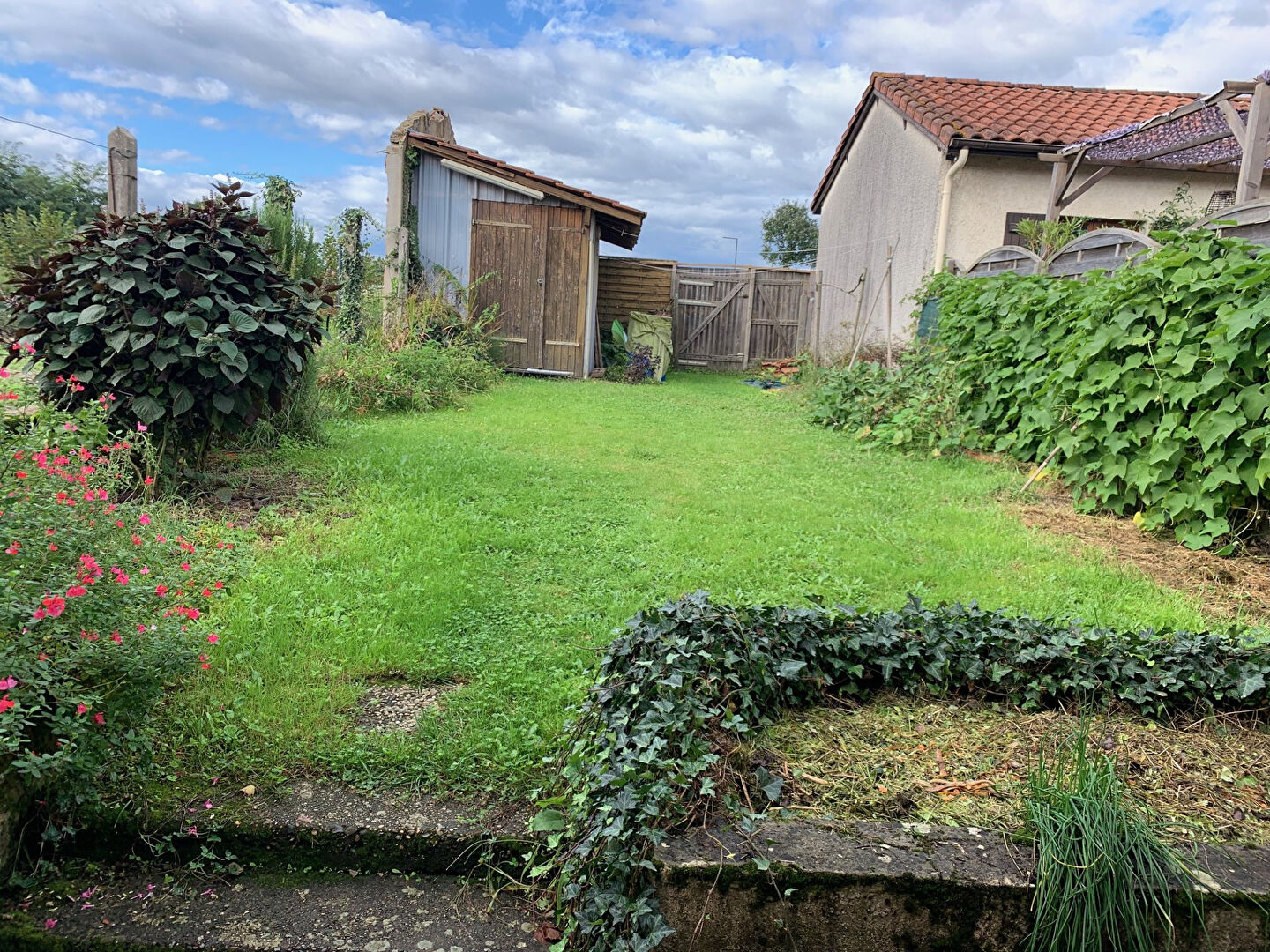 Maison de ville DAX (40100) 3 pièces 42.63 m²