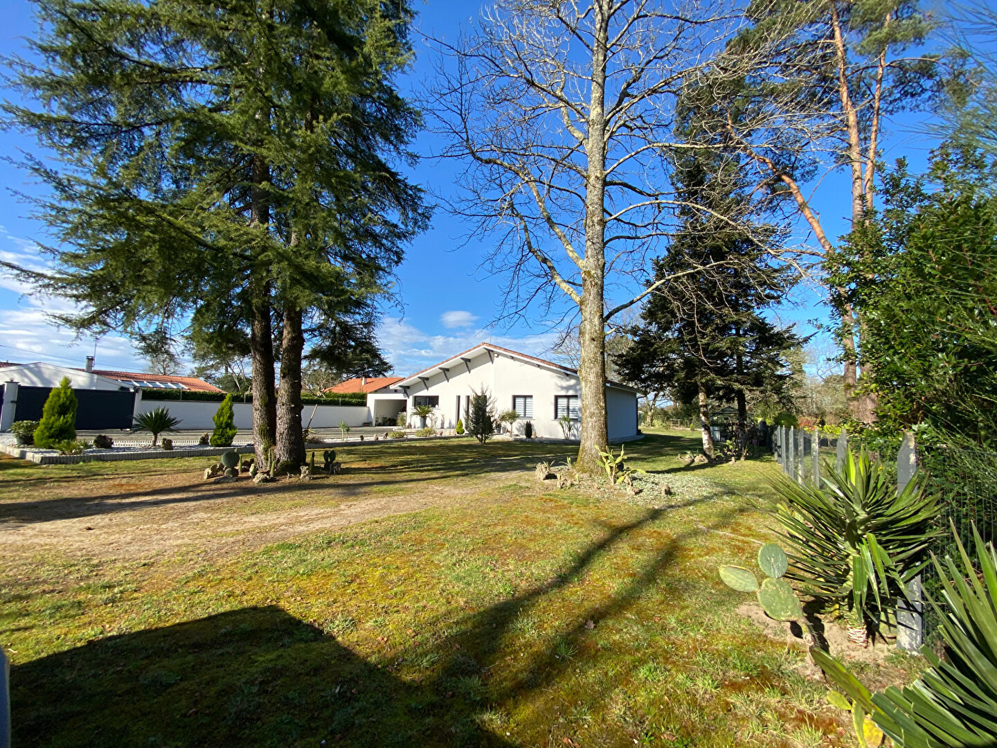 Maison DAX (40100) 4 pièces 127.00 m²