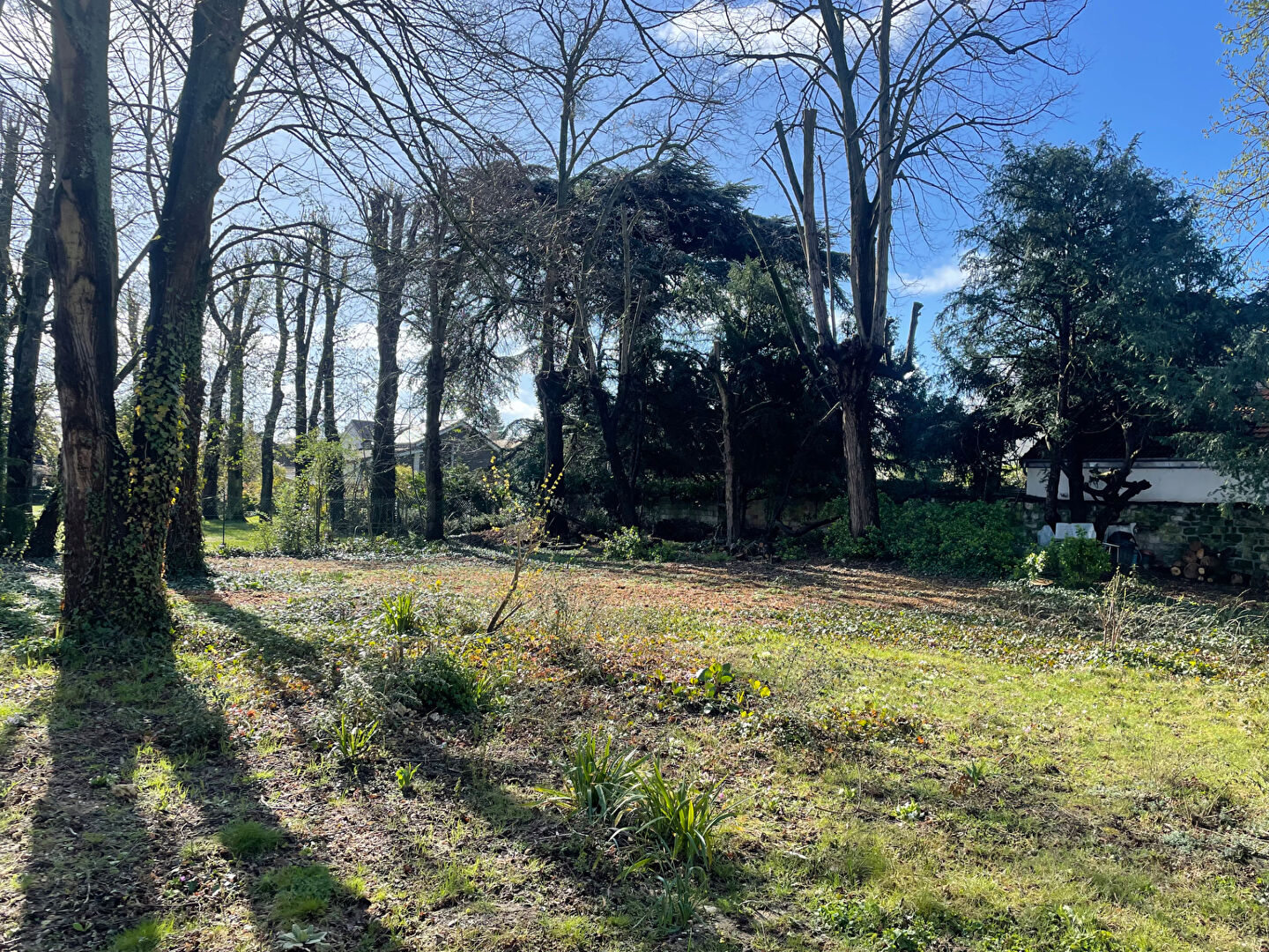 Terrain LE MESNIL LE ROI (78600) 712.00 m&sup2;