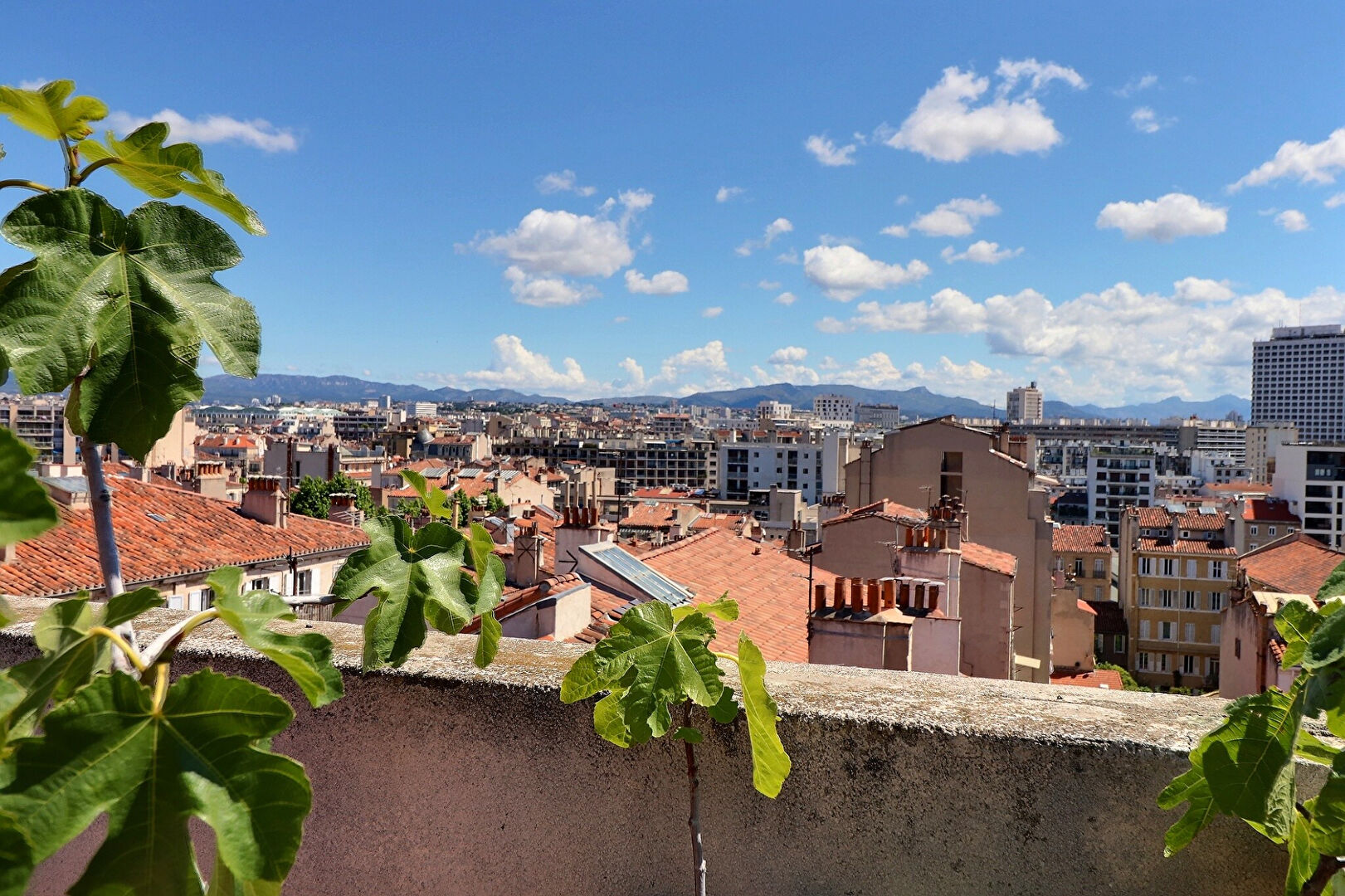 Appartement MARSEILLE (13008) 5 pièces 146.00 m²