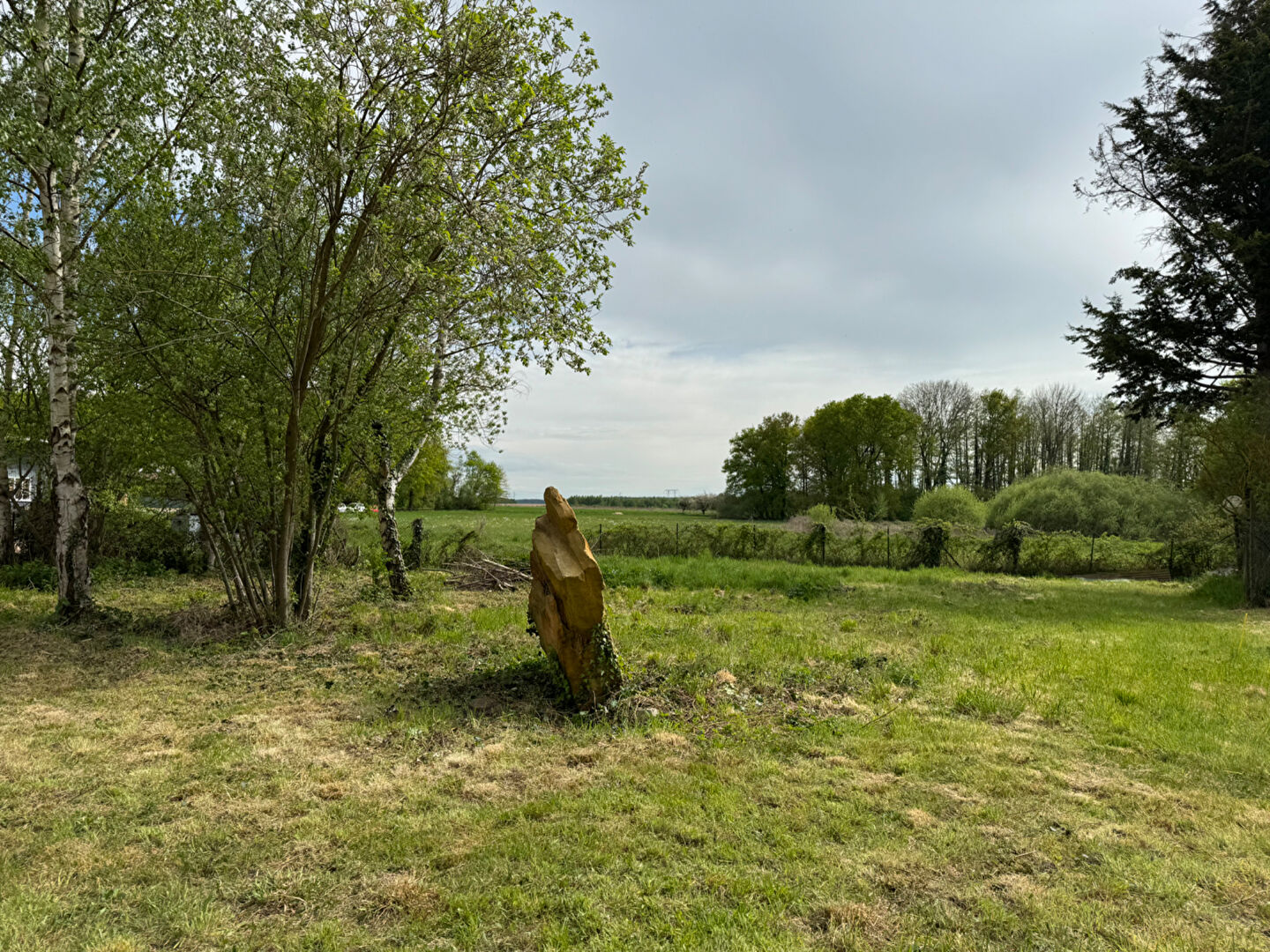Terrain VAUGRIGNEUSE (91640) 726.00 m²