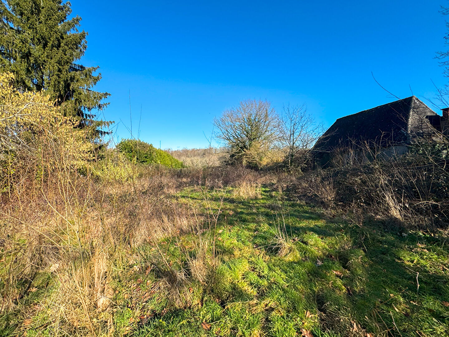 Terrain SAINT JAMMES (64160) 1200.00 m²