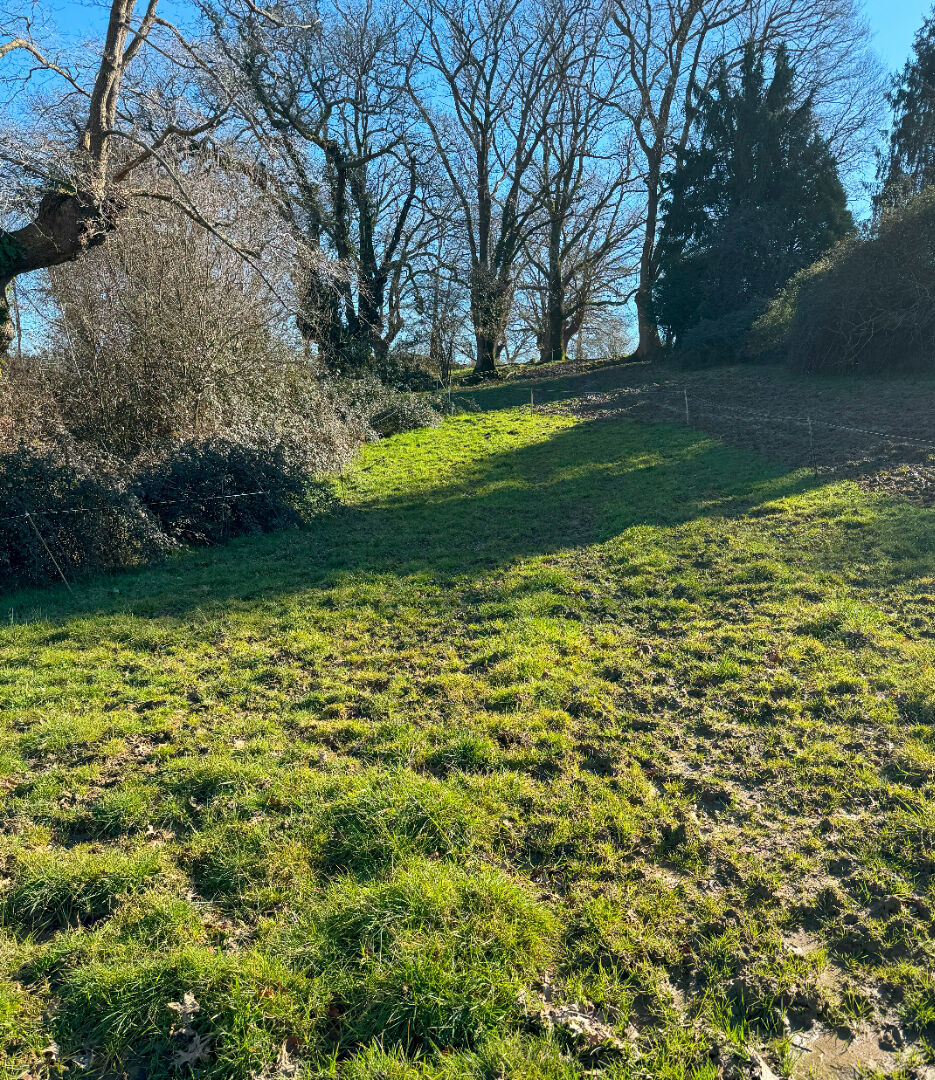 Terrain SAINT JAMMES (64160) 1275.00 m²