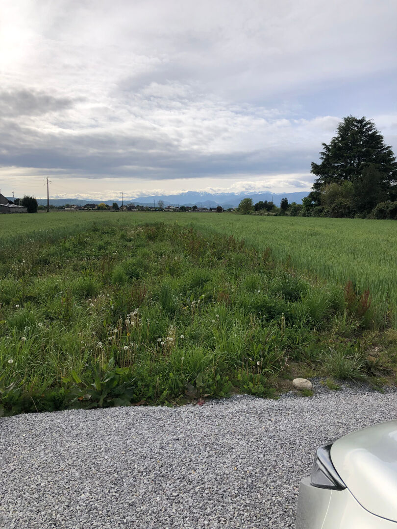Terrain BORDES (64510) 1280.00 m²
