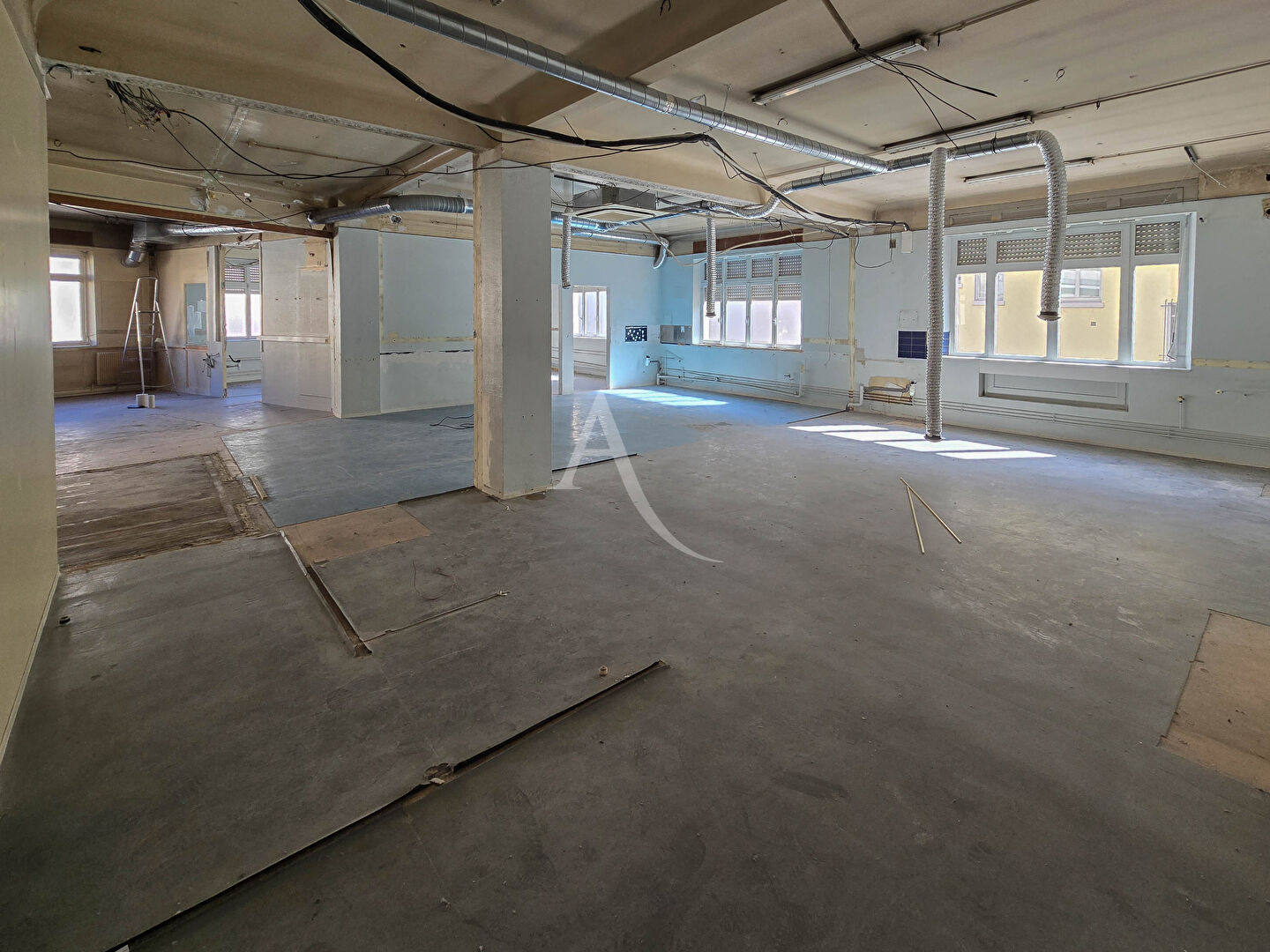 Local commercial PAU (64000) 6 pièces 224.40 m²