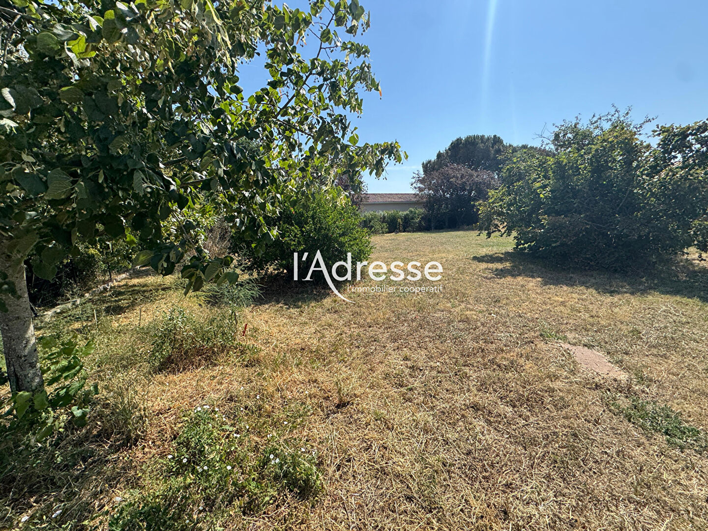 Terrain PLAISANCE DU TOUCH (31830) 802.00 m&sup2;