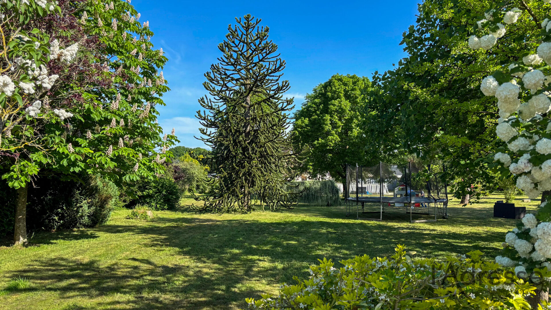 Terrain CAMPENEAC (56800) 2020.00 m²