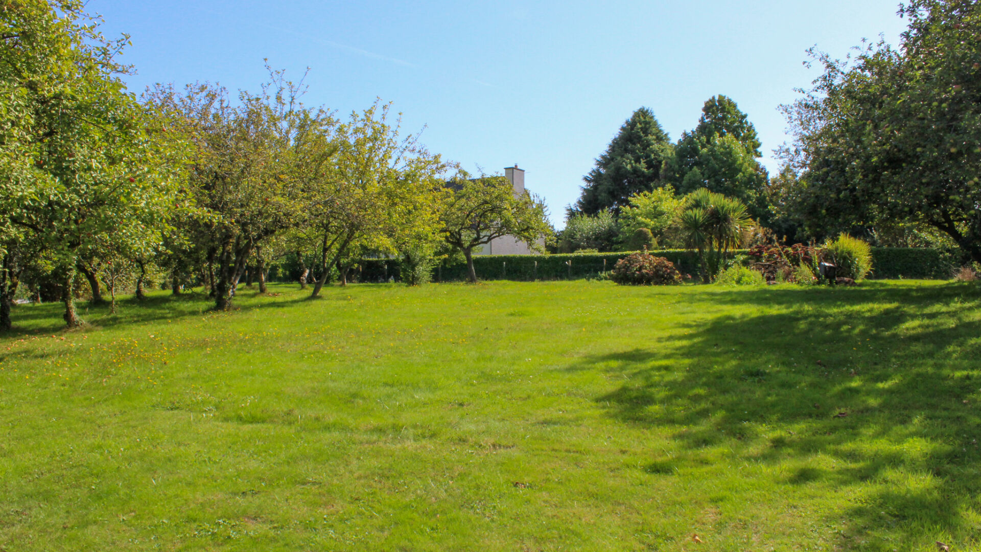 Terrain PLOERMEL (56800) 1855.00 m²