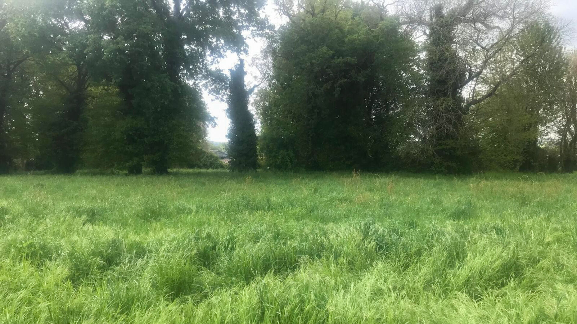 Terrain PLOERMEL (56800) 1880.00 m&sup2;