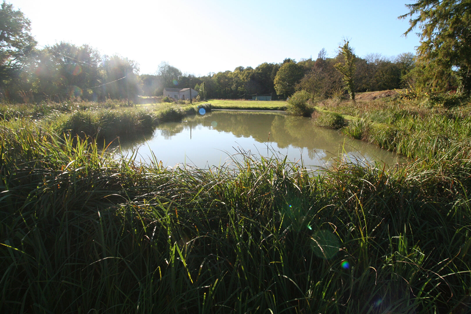 Terrain LIGUGE (86240) 27000.00 m&sup2;