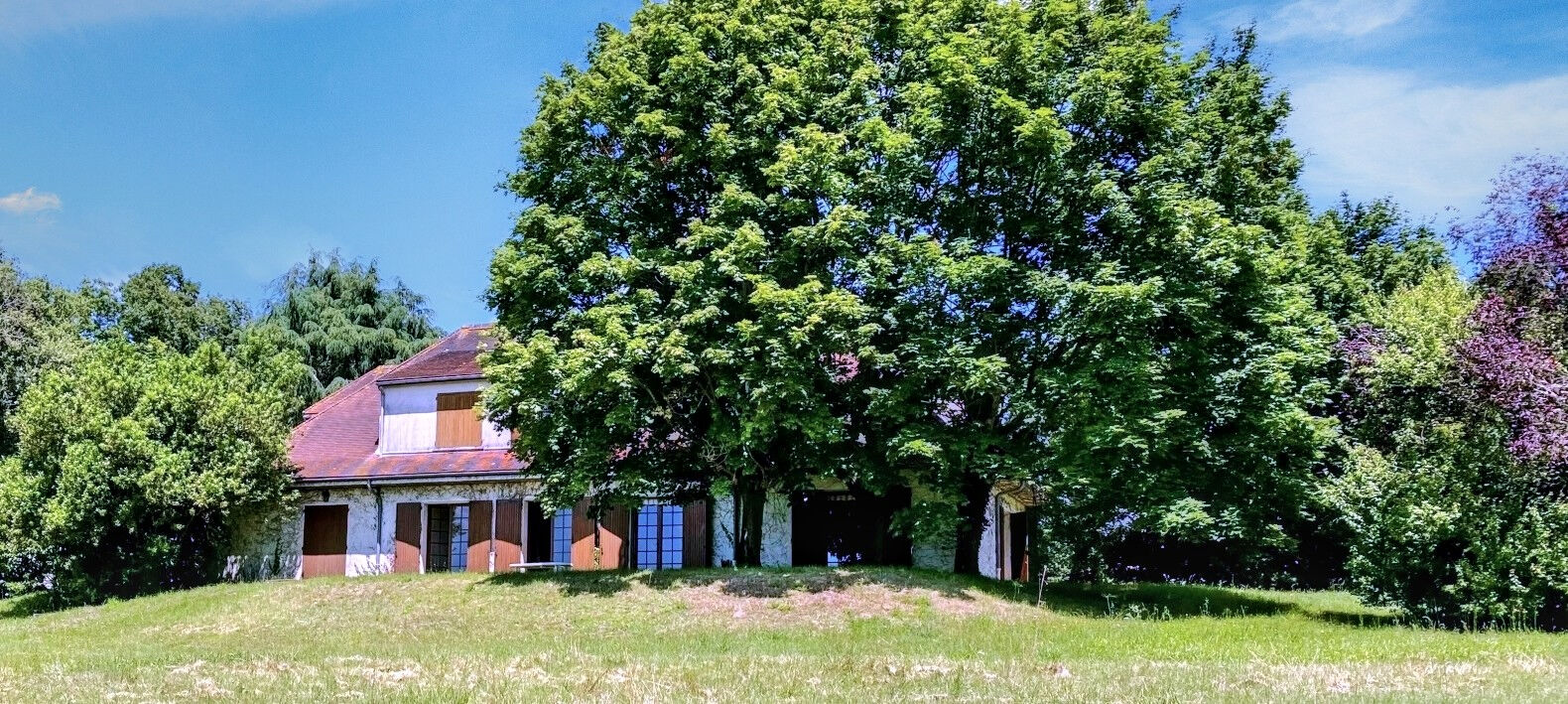 Maison NIEUIL L ESPOIR (86340) 9 pièces 336.00 m²